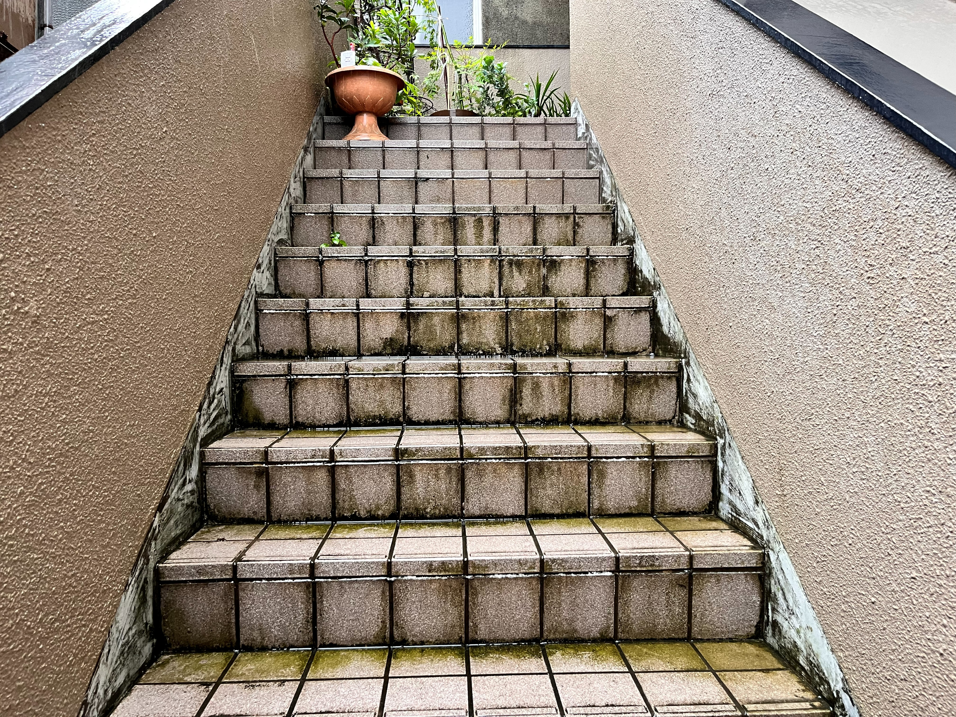 浴室リフォーム前